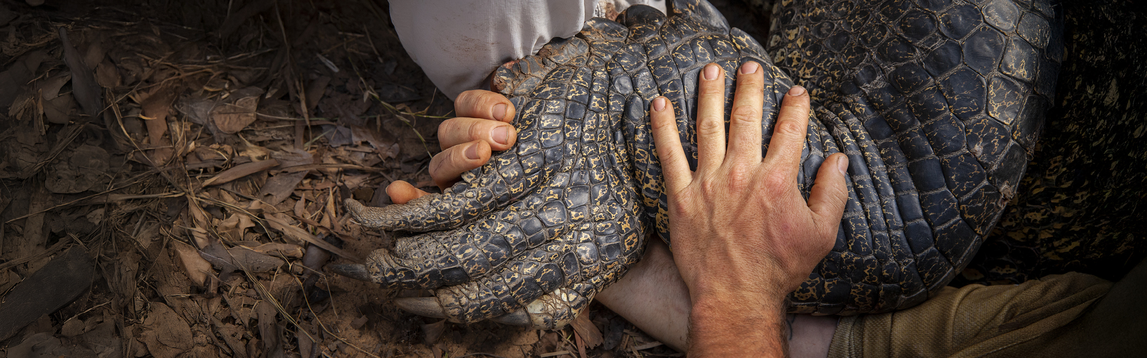 10222 - Croc Tracking - AZ Web Assets V1