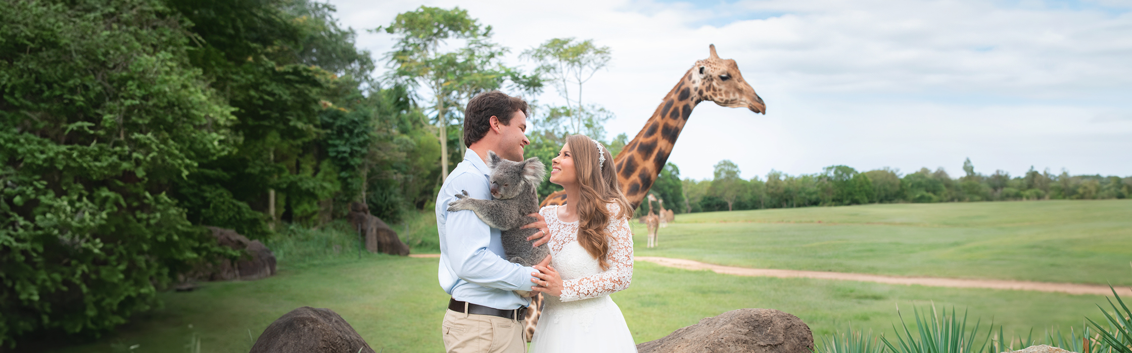 AZ_Website_Weddings_and_Function_2240 x 700_01