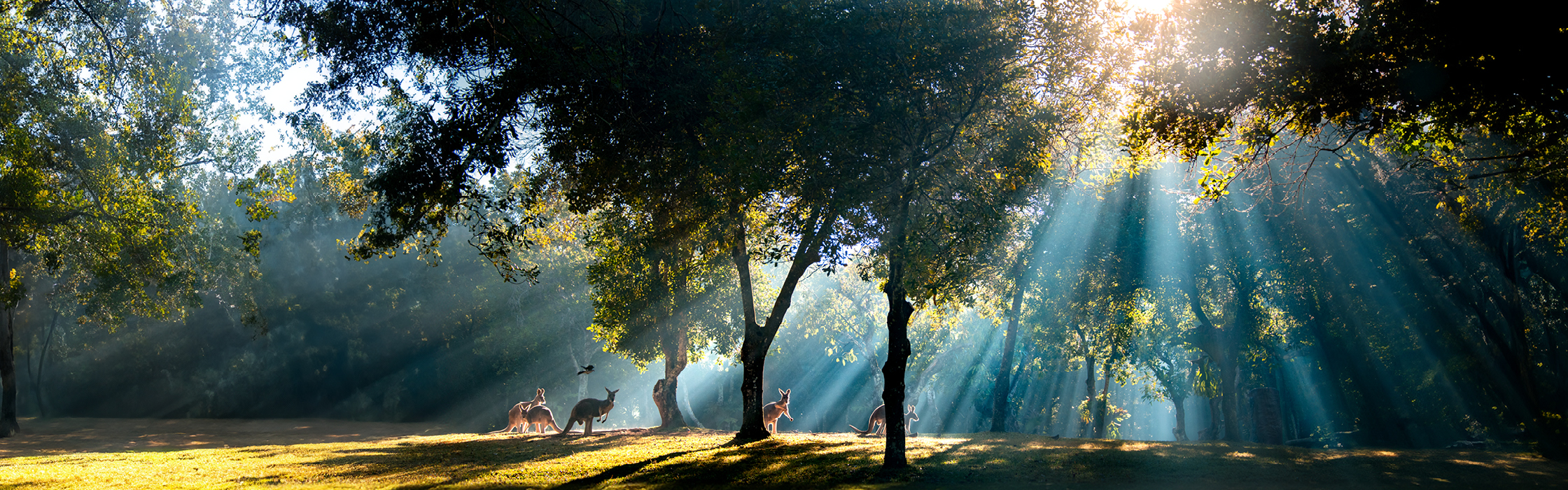 AZ_Website_Weddings_and_Function_2240 x 700_09