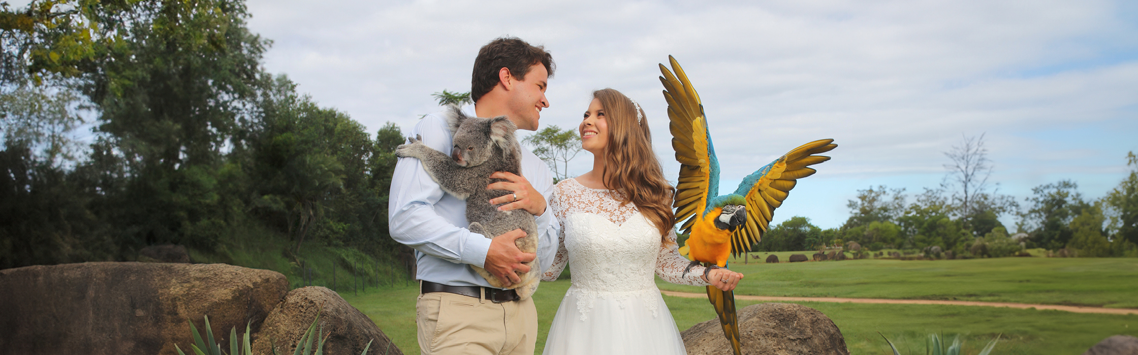 AZ_Website_Weddings_and_Function_2240 x 700_25