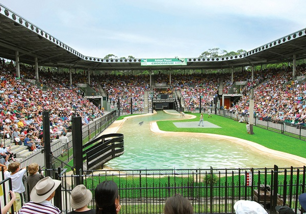 View of the crowd for a show.