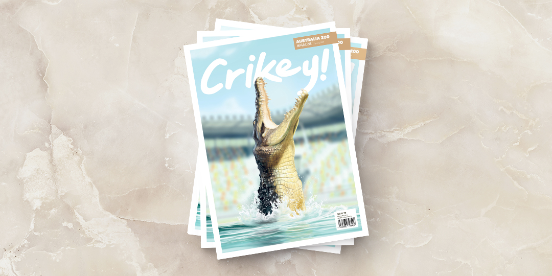 Crokey Mag Mobile